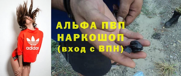 крисы Беломорск