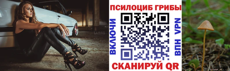 Галлюциногенные грибы прущие грибы  OMG вход  Новомосковск 