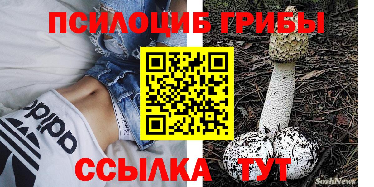 Новомосковск  Псилоцибиновые грибы ЛСД  Вход с VPN 