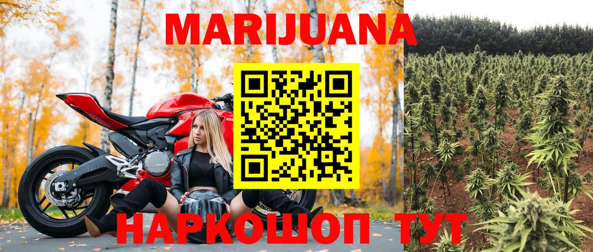 Шишки марихуана Amnesia Новомосковск