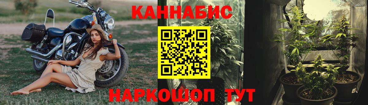 Бошки Шишки OG Kush  Шишки марихуана White Widow  Вход с VPN  Новомосковск 